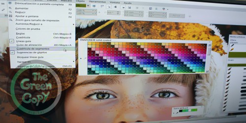 Maquetación Páginas WEB Rostros y Caras | The Green Copy SHIRT| Villanueva de la Cañada MADRID | 918157760 | Spain