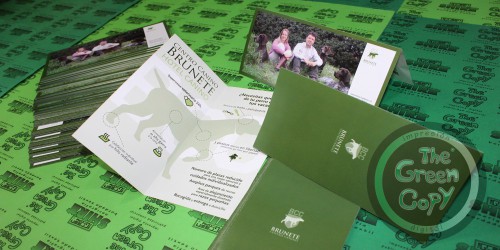 Impresión de Folletos Plegados Dípticos para Centro Canino Brunete | The Green Copy SHIRT| Villanueva de la Cañada MADRID | 918157760 |